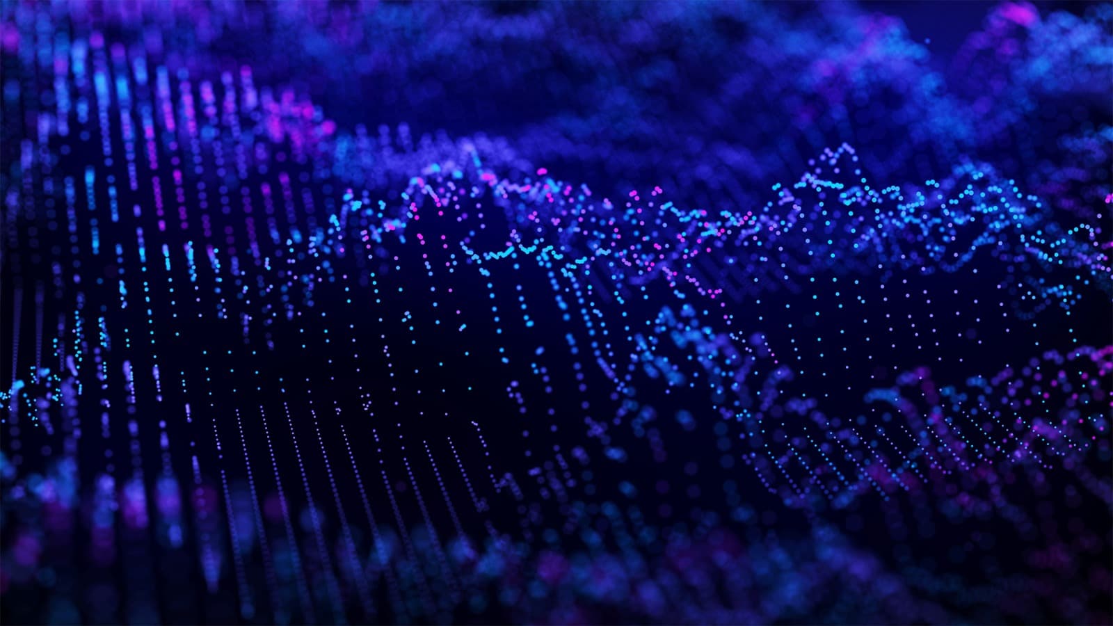 d c c c a a b ca c